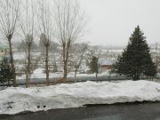 雪が舞っています