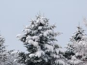 雪景色