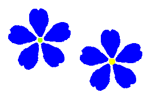 花びらのグラデーションをあきらめるでは背景にかかわらず花びらは同じ色です