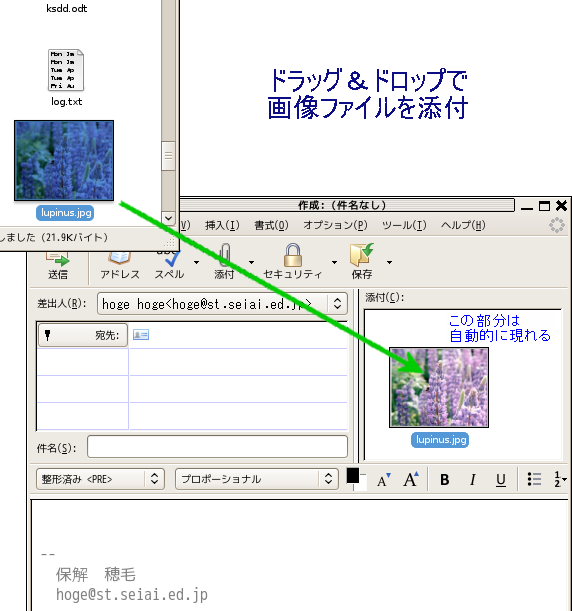 添付のエリアが出現